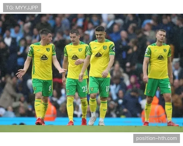 诺维奇降级后阵容调整与重建策略分析 诺维奇降级后阵容调整与重建策略分析